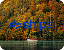 misuse logo
